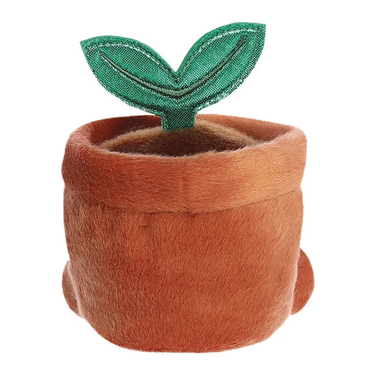 terra palm pal in kamerplant sfeer 🌿