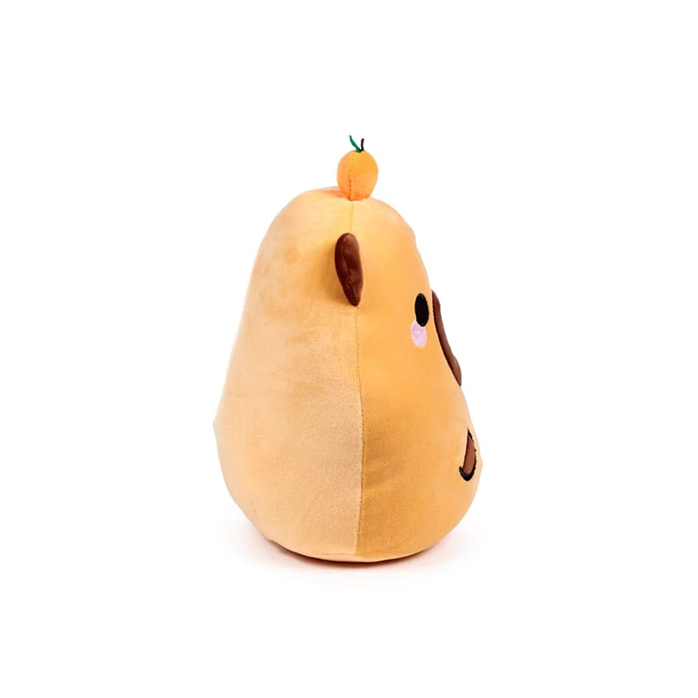 capibara squishy met grote lieve ogen 🥺